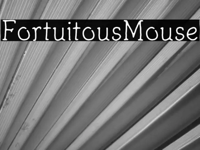 FortuitousMouse Font examples