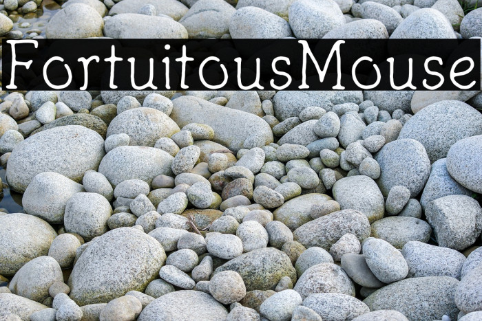 FortuitousMouse Font examples