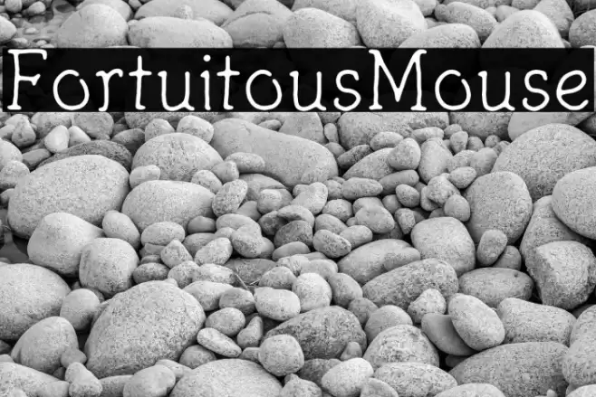 FortuitousMouse Font examples
