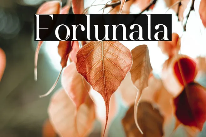 Fortunata Example 1