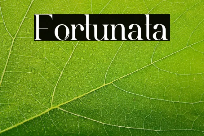 Fortunata Example 2