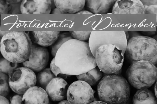 Fortunates December Font examples