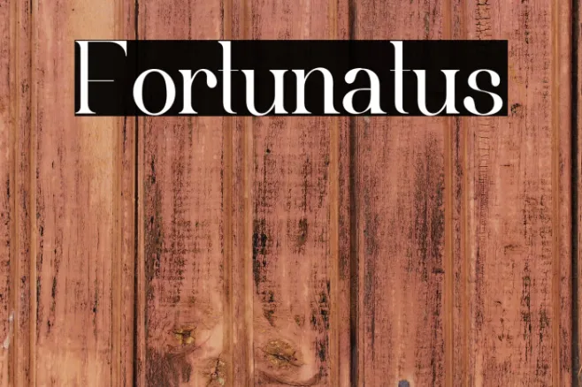 Fortunatus Example 1