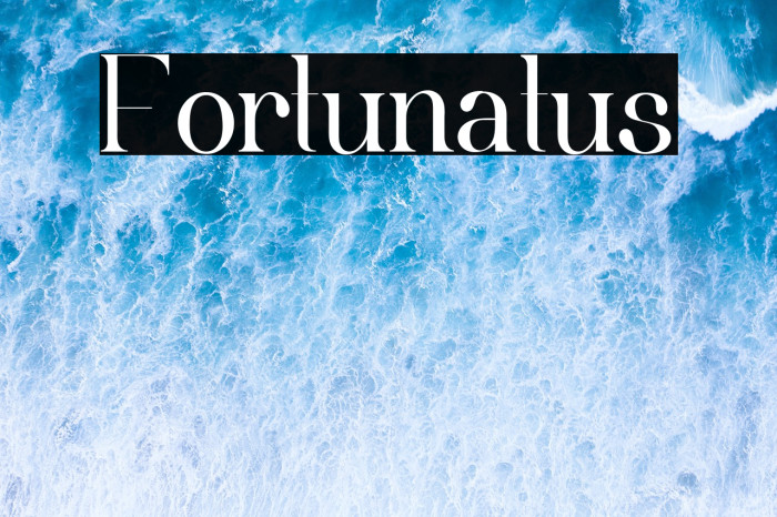 Fortunatus Example 2