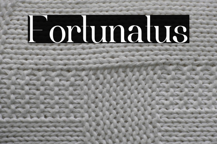 Fortunatus Example 3