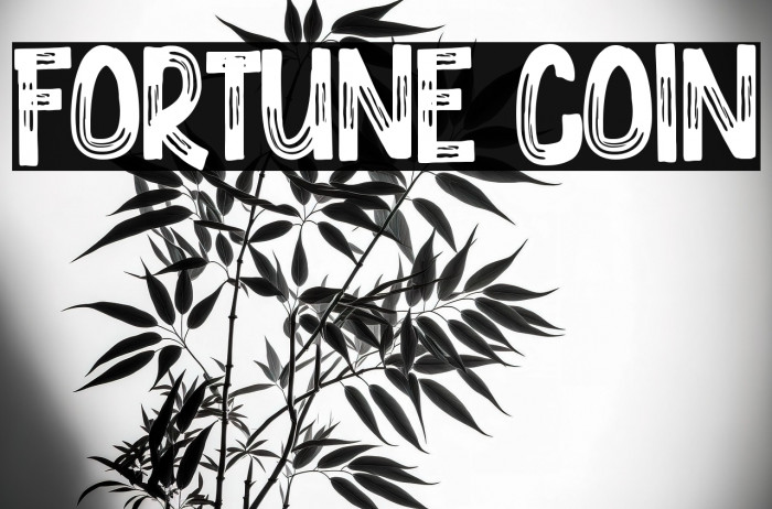 Fortune Coin Example 1