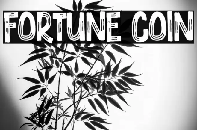 Fortune Coin Font examples