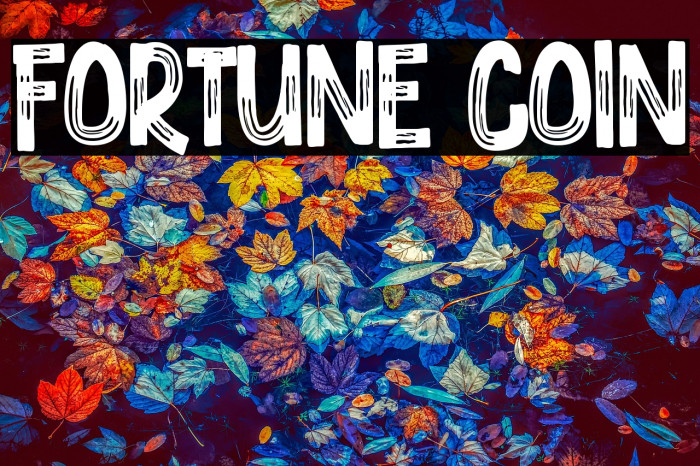 Fortune Coin Example 2