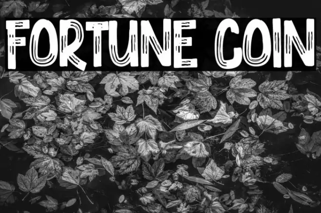 Fortune Coin Font examples