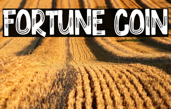 Fortune Coin Example 3