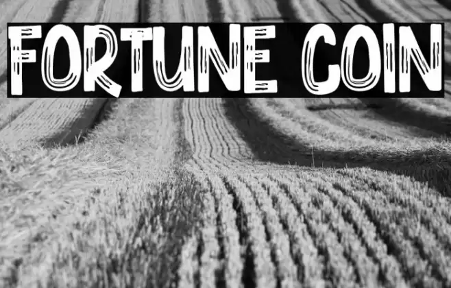 Fortune Coin Font examples
