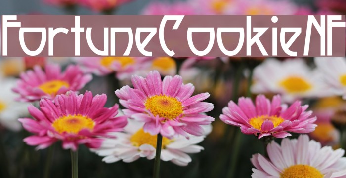 Fortune Cookie NF Font examples