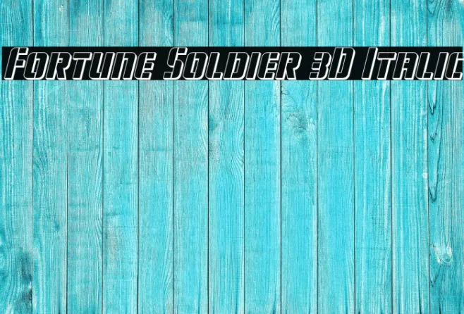 Fortune Soldier 3D Italic Example 1