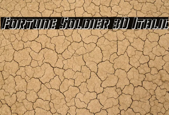 Fortune Soldier 3D Italic Example 2