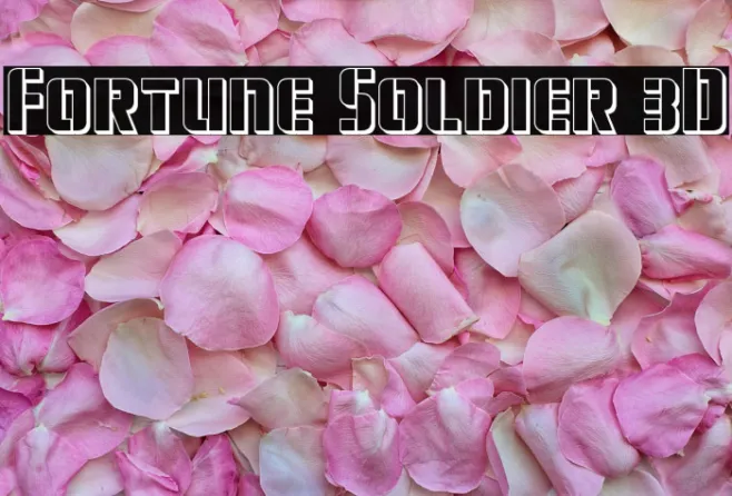 Fortune Soldier 3D Example 1