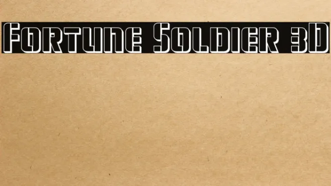 Fortune Soldier 3D Example 2