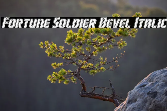 Fortune Soldier Bevel Italic Example 2