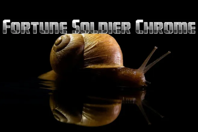 Fortune Soldier Chrome Example 2