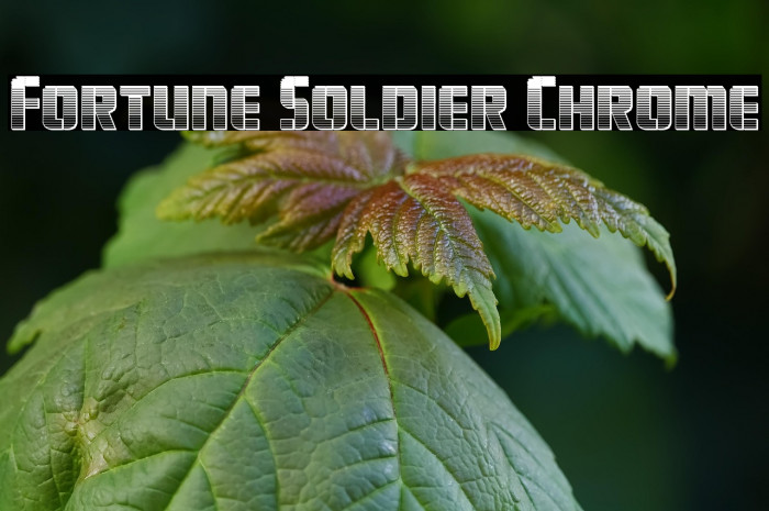 Fortune Soldier Chrome Example 3