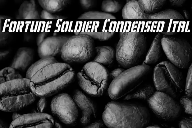 Fortune Soldier Condensed Ital Font examples