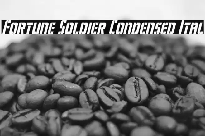 Fortune Soldier Condensed Ital Font examples