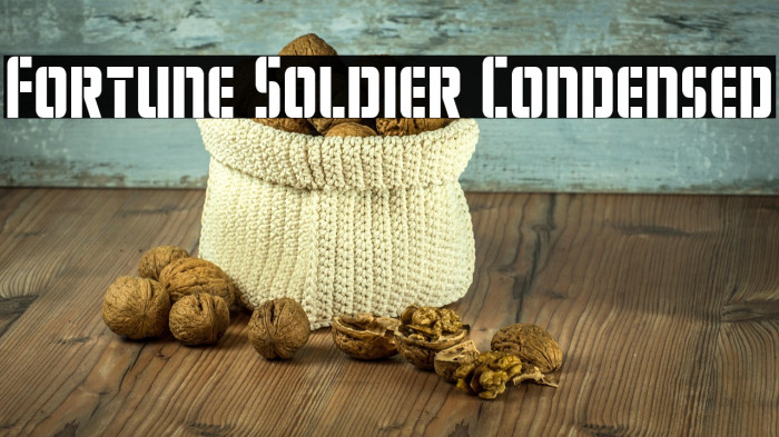 Fortune Soldier Condensed Example 2