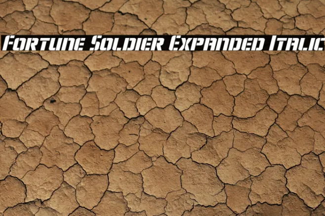 Fortune Soldier Expanded Italic Example 1