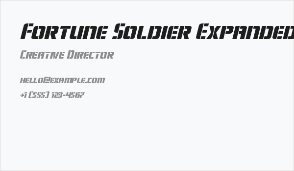Fortune Soldier Expanded Italic Business Card