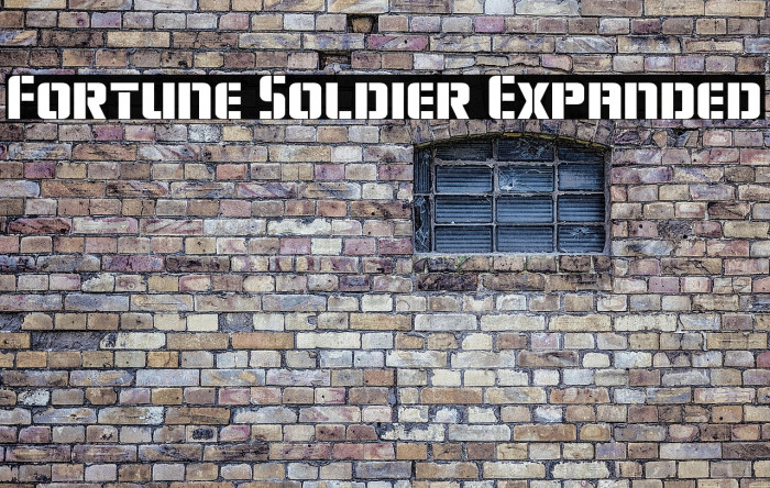 Fortune Soldier Expanded Example 2