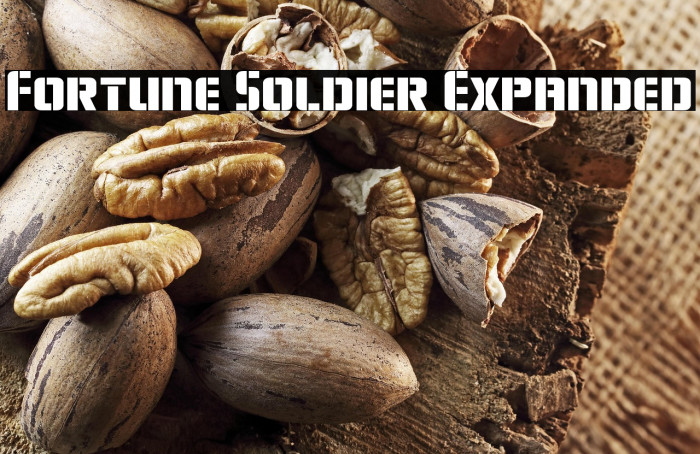 Fortune Soldier Expanded Example 3