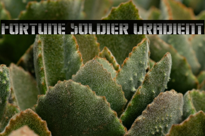 Fortune Soldier Gradient Example 2