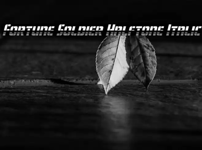 Fortune Soldier Halftone Italic Font examples