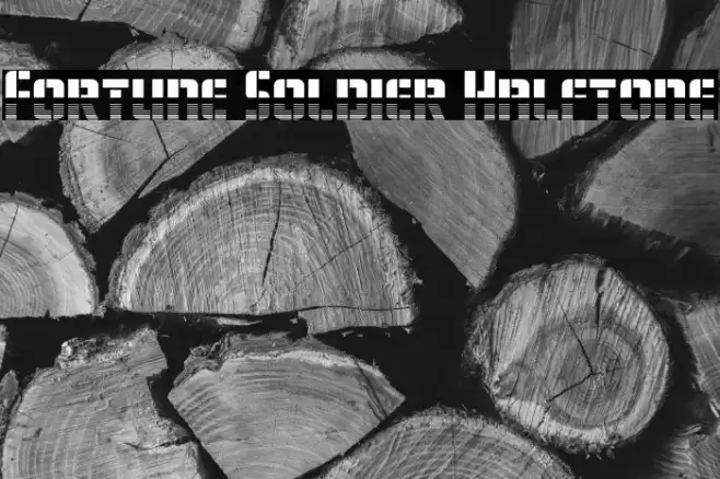 Fortune Soldier Halftone Font examples