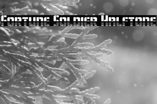 Fortune Soldier Halftone Font examples