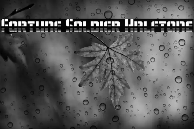 Fortune Soldier Halftone Font examples