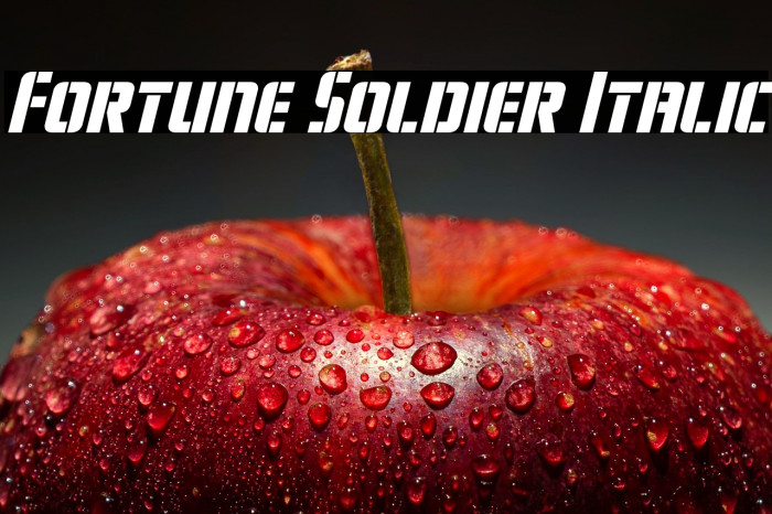 Fortune Soldier Italic Example 1