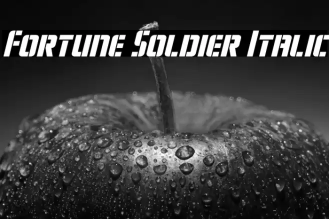 Fortune Soldier Italic Font examples