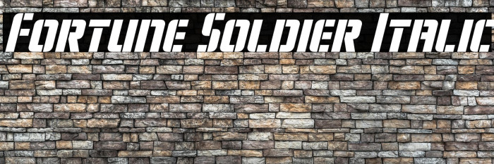 Fortune Soldier Italic Example 2