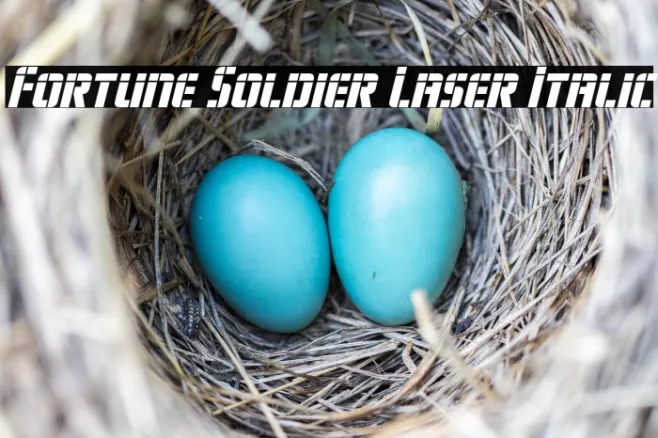 Fortune Soldier Laser Italic Example 1