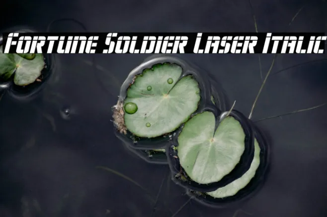 Fortune Soldier Laser Italic Example 3