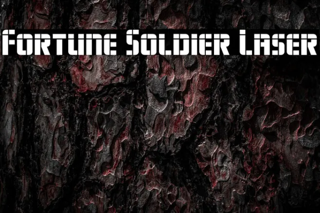 Fortune Soldier Laser Example 1