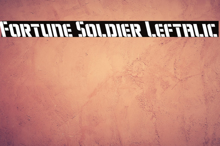 Fortune Soldier Leftalic Example 1