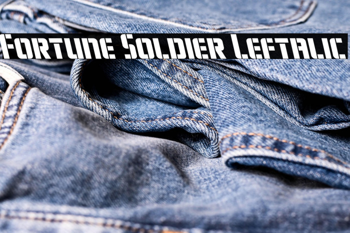 Fortune Soldier Leftalic Example 2