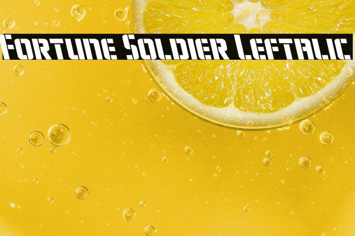 Fortune Soldier Leftalic Example 3