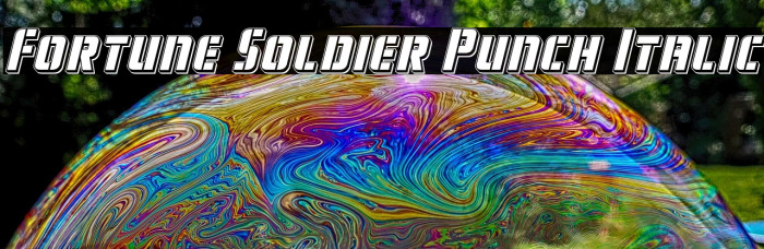Fortune Soldier Punch Italic Example 2