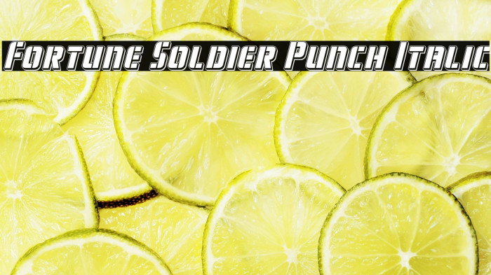 Fortune Soldier Punch Italic Example 3
