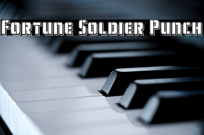 Fortune Soldier Punch Example 1