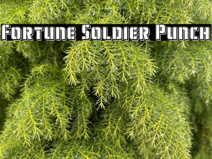 Fortune Soldier Punch Example 2