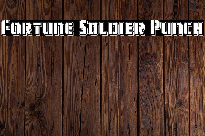 Fortune Soldier Punch Example 3