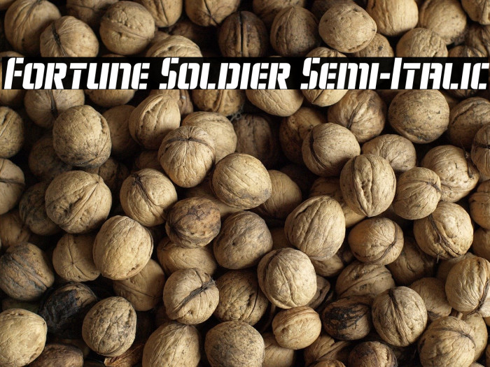 Fortune Soldier Semi-Italic Example 2